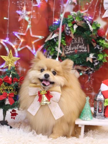 20231215梛都ちゃん